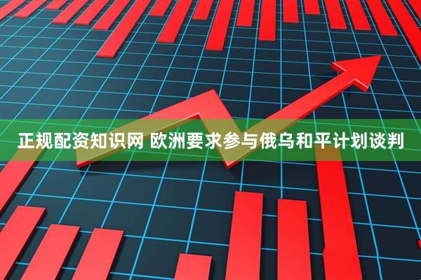 正规配资知识网 欧洲要求参与俄乌和平计划谈判