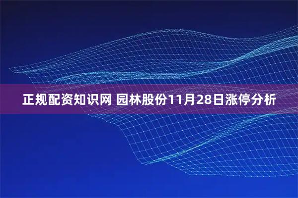 正规配资知识网 园林股份11月28日涨停分析