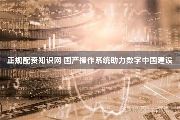 正规配资知识网 国产操作系统助力数字中国建设